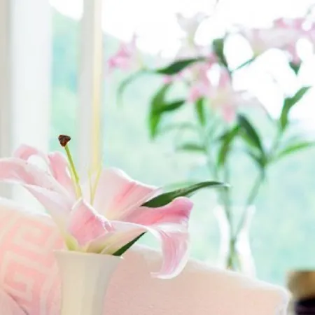 Excelsior & Kurhaus Hotel