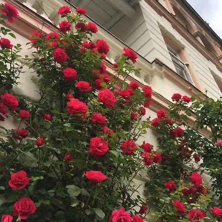 وكورهاوس إكسيلسيور 3* باد جاستاين