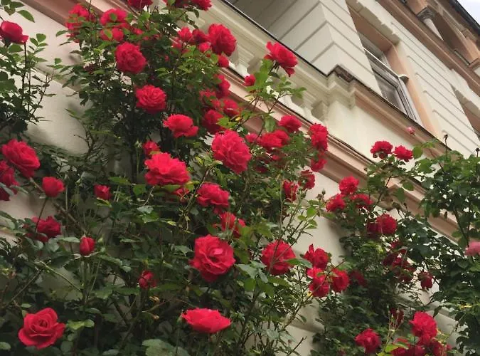 وكورهاوس إكسيلسيور 3* باد جاستاين