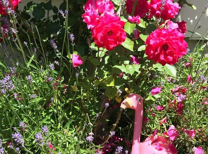 وكورهاوس إكسيلسيور